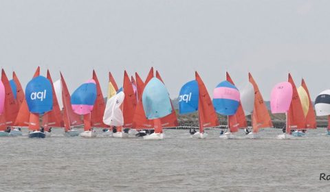 Squib Nationals 2019